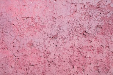 Kırmızı duvar arkaplanı, fotoğrafın yakın plan