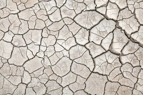 Kırık tuzlu alkali arazisi, fotoğrafa yakın çekim.