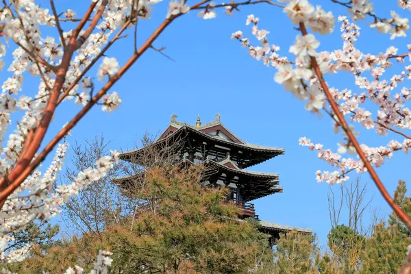 Park alanı manzarası, fotoğrafa yakın çekim.