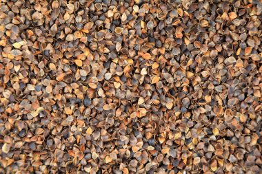 Karabuğday, fotoğraf yakın plan