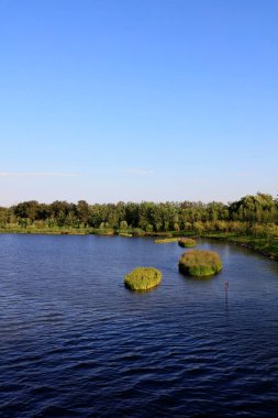 Doğal manzara, fotoğrafa yakın çekim.