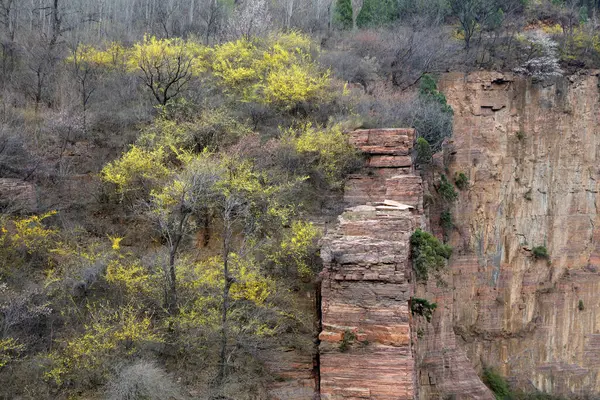 Dağ bitkisi, doğal koku.