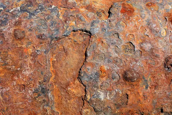 Pas lekesi, fotoğrafa yakın çekim.