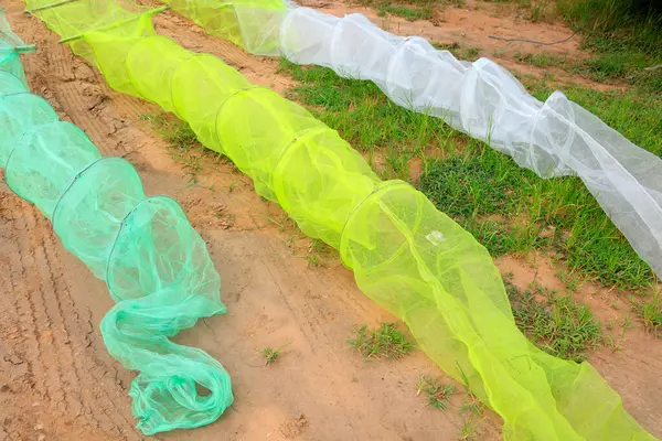 Balık ağı, fotoğrafa yakın çekim