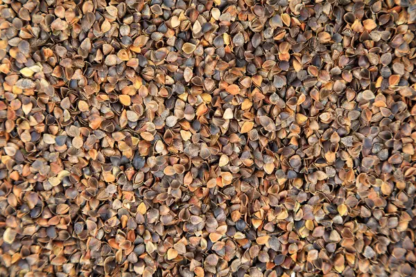 Karabuğday, fotoğraf yakın plan