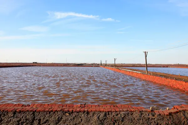 Tuz havuzu kokusu, fotoğrafa yakın çekim.