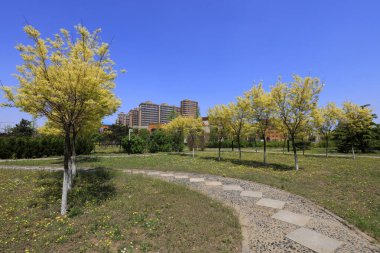 Flagstone Şehirlerdeki Yol ve Binalar, Çin