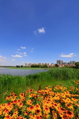 Şehir Parklarının Doğal Manzarası