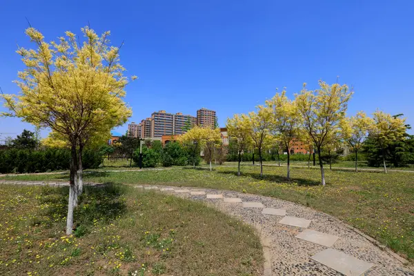 Flagstone Şehirlerdeki Yol ve Binalar, Çin