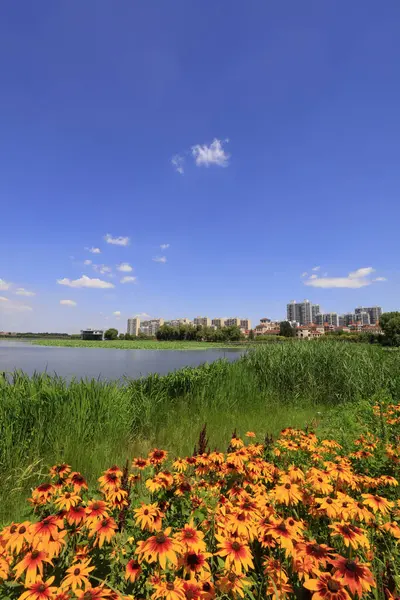 Şehir Parklarının Doğal Manzarası