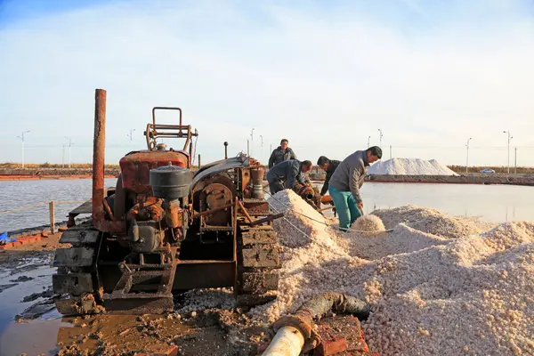 Luannan County - 28 Ekim 2016: işçiler tuz tarlasında işçilik yaptılar, Luannan, Hebei, Chin