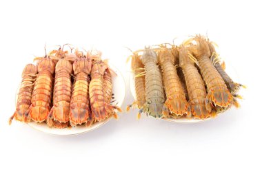 Beyaz arkaplanda peygamber devesi karidesinin yakın çekimi