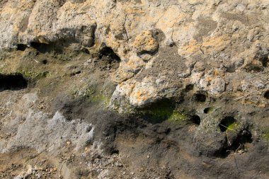Toprak yüzeyi jeolojik yapısı, fotoğrafa yakın.