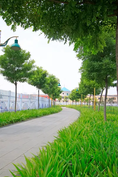 Parktaki patika, fotoğrafa yakın çekim