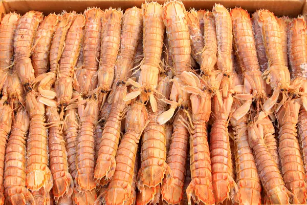 Peygamber devesi karidesi, bir tür deniz yaşamı, yenilebilir ve lezzetli olabilir..