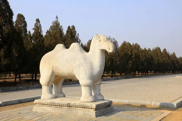 Çin antik deve heykelleri