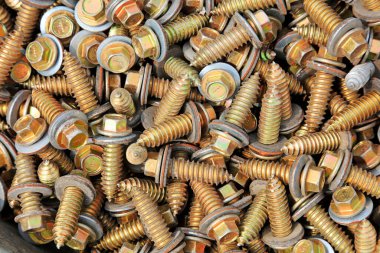 Boş ver Spike 'ı, yakın plan fotoğrafı.