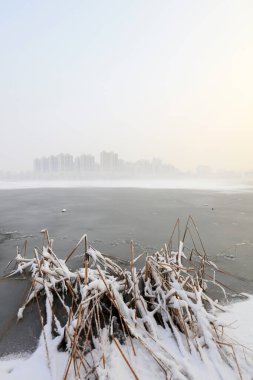 Kuzey Çin 'in kış manzarası