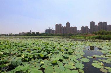 Liman şehri manzarası, Çin