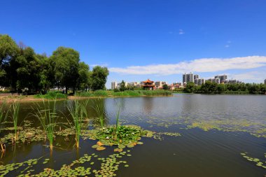 Waterfront City 'nin yaz manzarası, Tangshan City, Çin