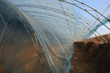 Çin 'de çift katmanlı plastik seranın iç manzarası.