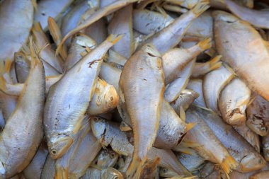 Yığınla taze balık, yakın plan fotoğraf.