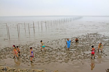 Luannan - 31 Temmuz 2015 'te, Luannan County, Hebei, Chin' deki çamurlu gelgit düzlüklerinde banyo yapan ziyaretçiler