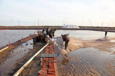 Luannan County - 28 Ekim 2016: işçiler tuz tarlasında işçilik yaptılar, Luannan, Hebei, Chin