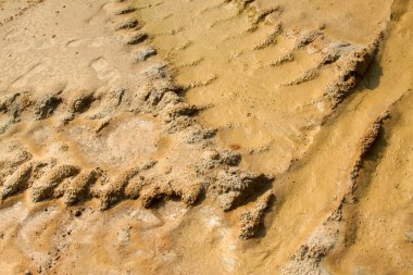İzleme teknikleri arazide, çölde.