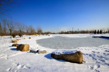 Kışın vahşi doğal manzara, fotoğrafa yakın çekim.