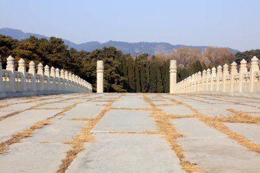 Geleneksel Çin mimari manzarası