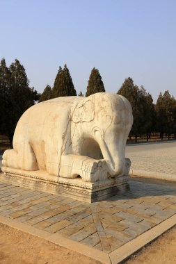 Çin antik fil heykelleri