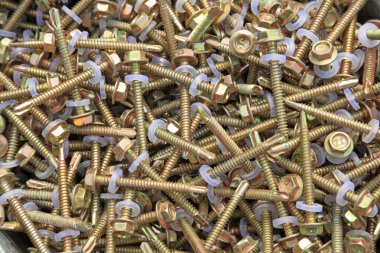 Boş ver Spike 'ı, yakın plan fotoğrafı.