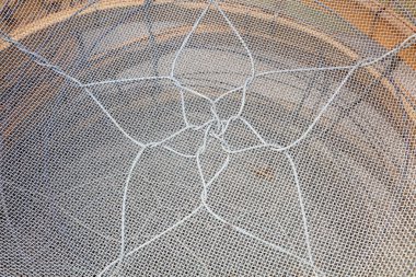 Sieve dokusu, fotoğrafın yakın çekimi
