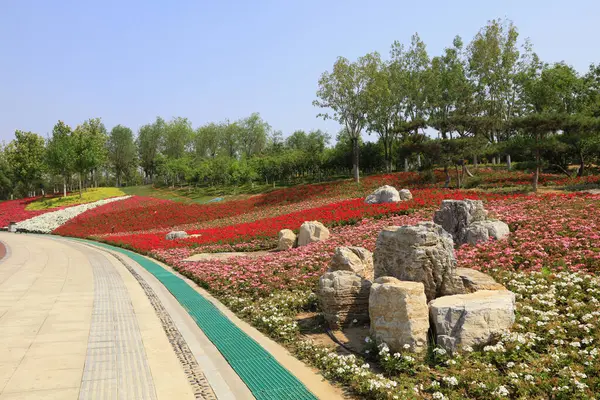 Parktaki çiçeklerin doğal manzarası, Chin.