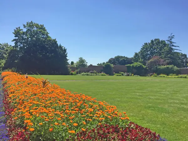 İngiltere 'deki Loughborough Üniversitesi' nde oyun alanı sahnesi.