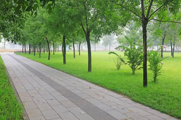 Parktaki taş patika