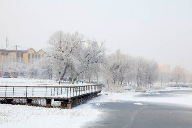 park Gauntree kar sahnesi