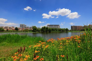 Şehir Parklarının Doğal Manzarası