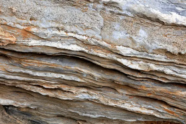 Anka kuşunun doğal dokusu