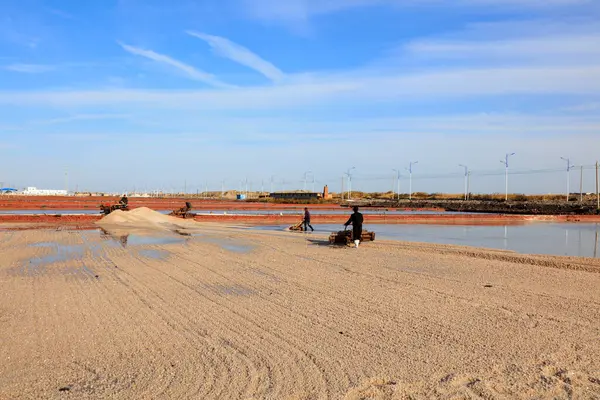 Luannan County - 28 Ekim 2016: işçiler tuz tarlasında işçilik yaptılar, Luannan, Hebei, Chin