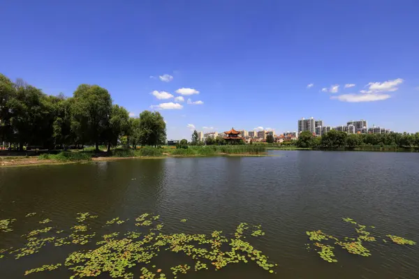 Waterfront City 'nin yaz manzarası, Tangshan City, Çin