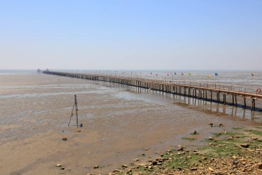 Deniz kenarındaki ahşap trestle