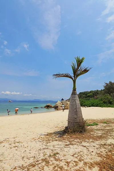 Wuzhizhou Adası sahilinde şarap şişesi.