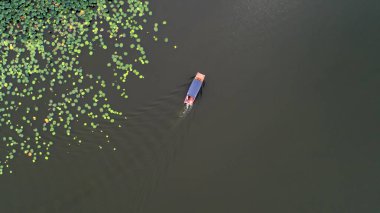 Gemiler nilüfer yapraklarıyla kaplı bir gölde yelken açıyor, Luannan County, Hebei Eyaleti, Çin