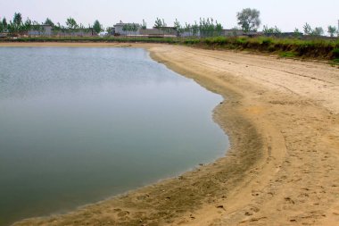 Gölün kenarı, fotoğrafa yakın çekim.