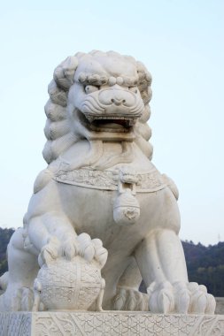 Oyulmuş taş aslanlar, fotoğraflara yakın çekim.