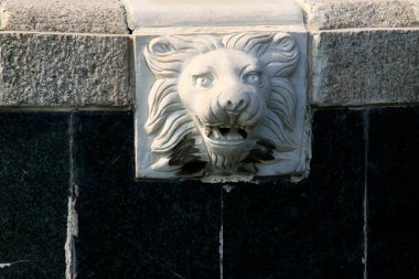 Parkta aslan başı oyması, fotoğrafa yakın çekim.