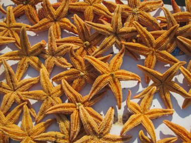 Kurutmada deniz yıldızı, fotoğrafa yakın çekim   