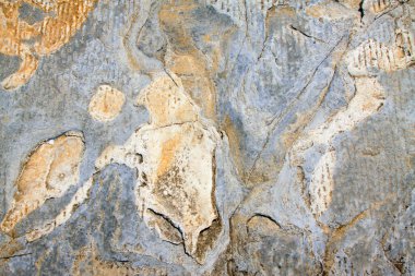 Kaya dokusu, fotoğrafa yakın çekim